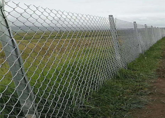 O Pvc revestido de Mesh Fencing 60*60mm do ciclone do zinco revestiu Diamond Mesh