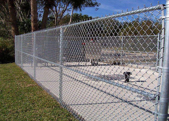 O Pvc revestido de Mesh Fencing 60*60mm do ciclone do zinco revestiu Diamond Mesh