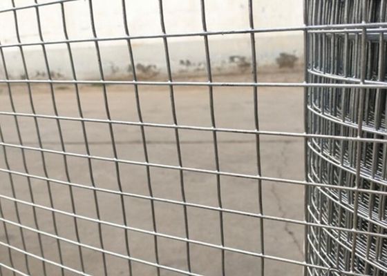 Umidade - a prova galvanizou o fio dobro Mesh Fence 2.5m que o calibre pulveriza revestido