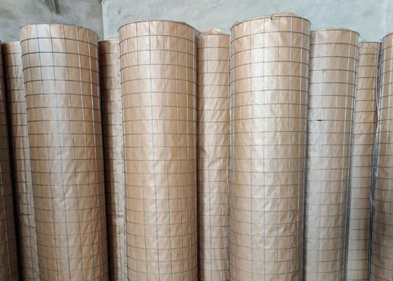 6X6cm 304 galvanizou o fio soldado Mesh Fence For Animal Enclosure