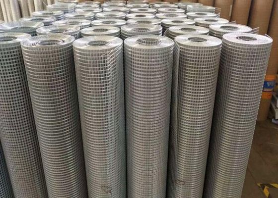 6X6cm 304 galvanizou o fio soldado Mesh Fence For Animal Enclosure