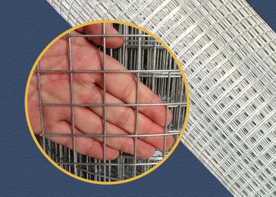 Mergulho quente soldado de Mesh Fence 5X5mm do fio da jarda de escola do OEM que galvaniza